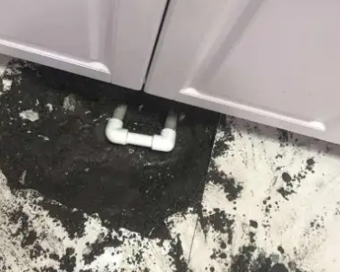 祁门查漏水哪家好